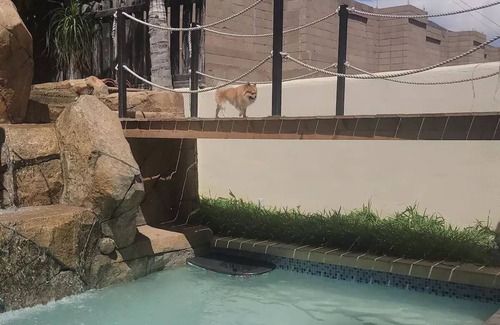 Ensenada House | charming house with a paradise - low covenn