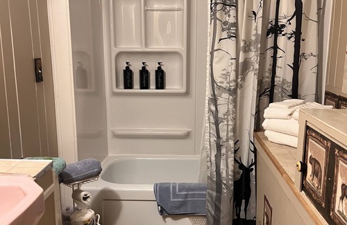 Watersmeet Cottage | Charming Island Getaway. Private Cottage, Dock Fire Pit Pet Friendly. Elopement