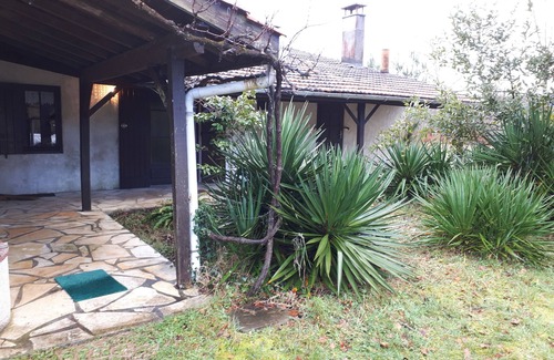 Naujac-Sur-Mer House | Charming little house in the Medoc pine forest