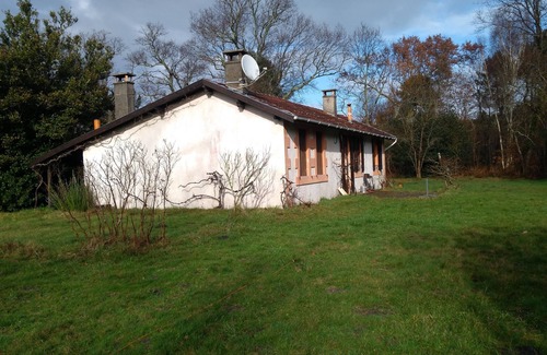 Naujac-Sur-Mer House | Charming little house in the Medoc pine forest