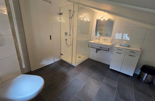 Tujetsch Apartment | Charming Louisa Roof in the Swiss mountains