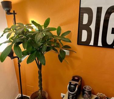 Rione V Ponte Apartment | Charming Navona - The Loft