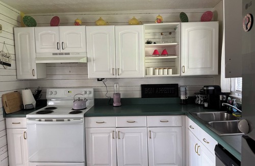 Pine Forest House | Charming Pine Forest Zen Cottage - 10 min to Fort Bragg