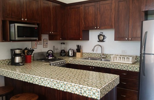 Downtown Puerto Vallarta Condo | Charming Puerto Vallarta Hidden Casita