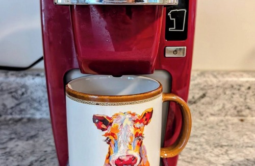 Lexington Apartment | Charming studio cottage just 5 minutes from delightful downtown Lexington!