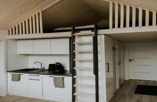 Balkbrug House | Charming Tiny House Getaway with Terrace