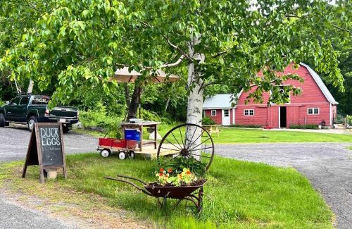 Williamsburg House | Charming, updated , 3 bedroom farmhouse farm stay
