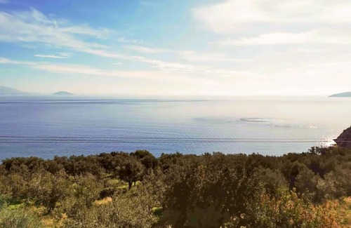 Astros Apartment | Charming Villa Amidst Olive Trees With Sea Views