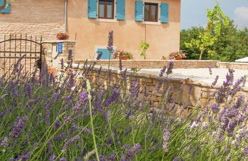 Jezenj Cabin | Charming Villa Jezenj with Private Pool and Lovely Garden