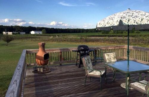 Berlin Center House | Charming Weekend Getaway Located on a Vineyard near Cleveland, Ohio