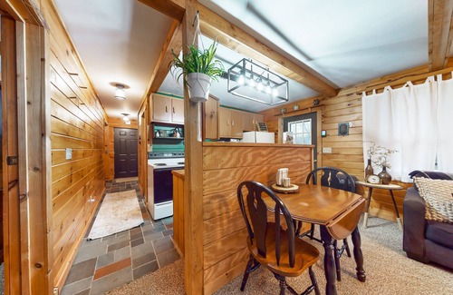 Watkins Glen House | Charming wilderness cabin with a scenic deck, grill, & arcade game