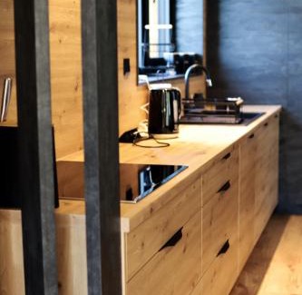 Oravska Lesna House | Chata Andromeda