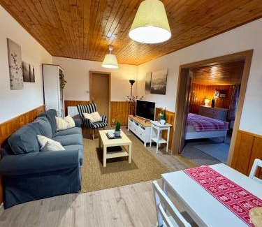 Jesenik Ski Chalet | Chata HANA