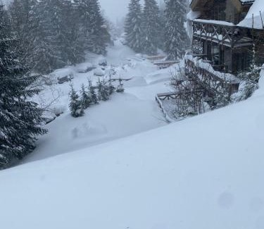 Demanovska Dolina Apartment | chata Karolina v Jasnej na Slovensku