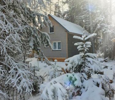 Tatranska Strba Ski Chalet | Chata pod zubačkou