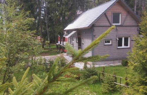 Tatranska Strba Ski Chalet | Chata pod zubačkou