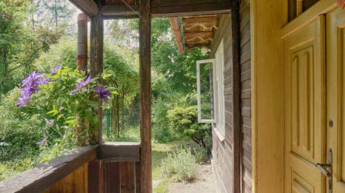 Pcim House | Chata przy lipie
