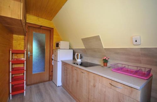 Demanovska Dolina Ski Chalet | Chata Repiská