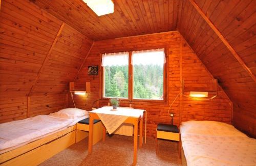Demanovska Dolina Ski Chalet | Chata Repiská