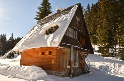 Demanovska Dolina Ski Chalet | Chata Repiská