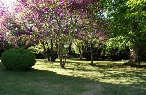 Gontaud Apartment | Chateau De Grenier Apartment