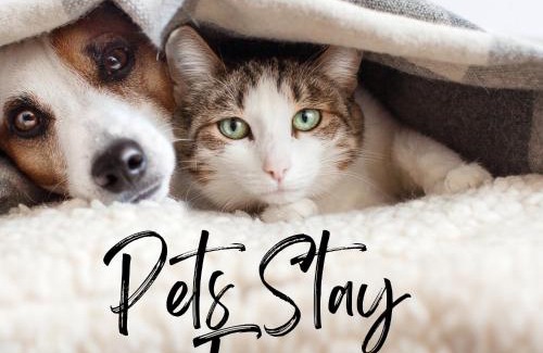 Isigny-le-Buat Bed & Breakfast | chateau isigny Expérience romantique en Normandie