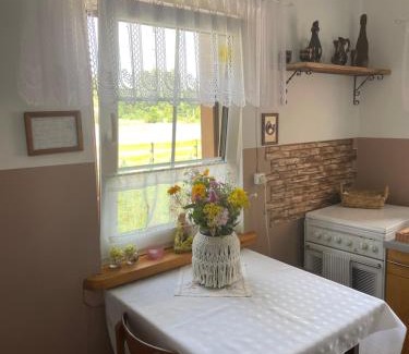 gmina Czeremcha House | Chatka Oli