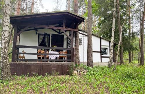 Skrzeszew House | Chatka Poddębie