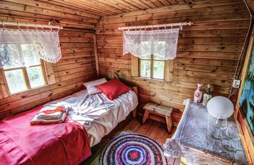 Bialowieza House | Chatka w lesie