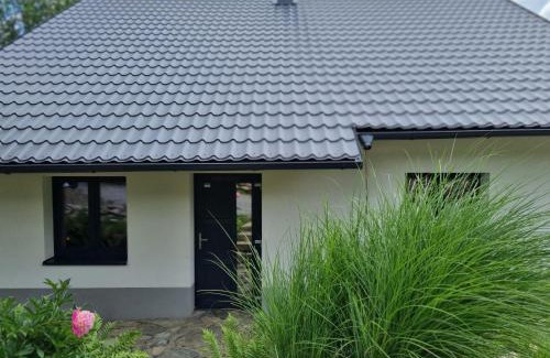 Velke Losiny Villa | Chaty Velké Losiny