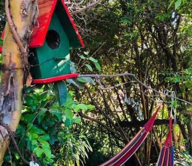 Colonia Carlos Pellegrini House | Che Camba