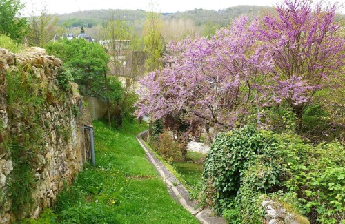 Couze-et-Saint-Front House | Cheap detached house sun bed 160cm patio