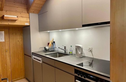 Zuoz Apartment | Chesa Sur En with a view of Piz Mezzaun and Uter