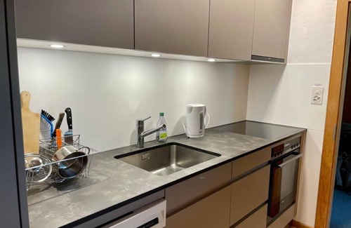 Zuoz Apartment | Chesa Sur En with a view of Piz Mezzaun and Uter