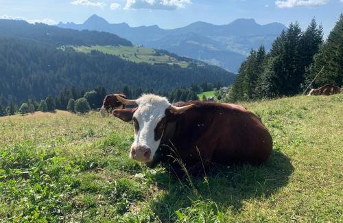 Notre-Dame-de-Bellecombe Apartment | Chez Francine