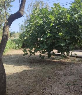 Chateaurenard House | Chez Isa et Ray, un gîte en Provence