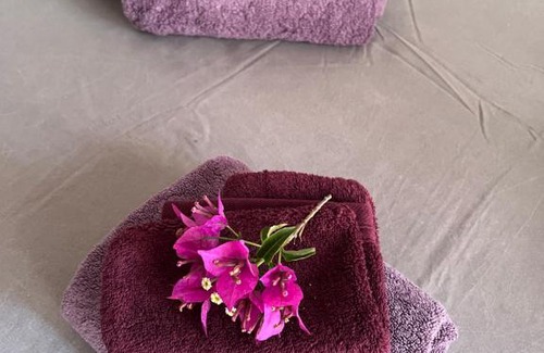 Le Teich House | Chez Karantez