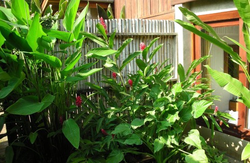 Old City House | Chiang Maan Residence