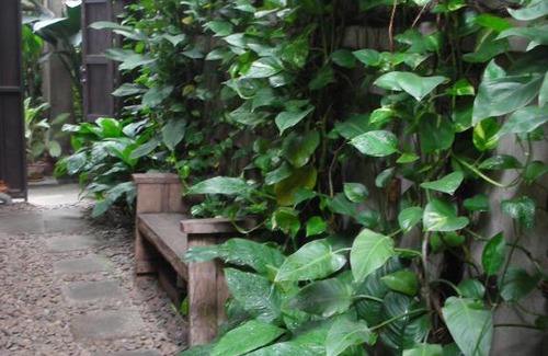 Old City House | Chiang Maan Residence