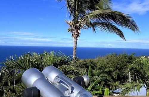 Grande Anse Cottage | Chic Creole cottage with pool, AC and wifi