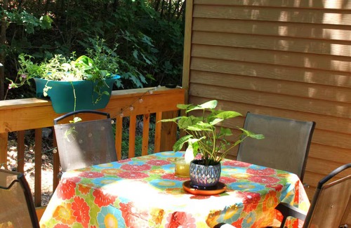 Southwest Raleigh House | Chic Home close to NCSU & Centennial campus & RDU