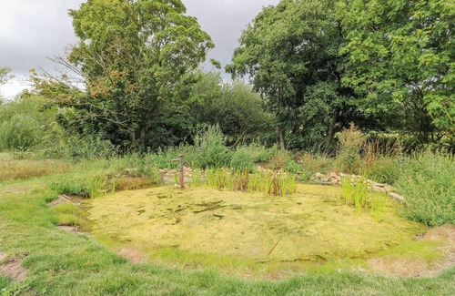 South Luffenham Cottage | Chicken Run