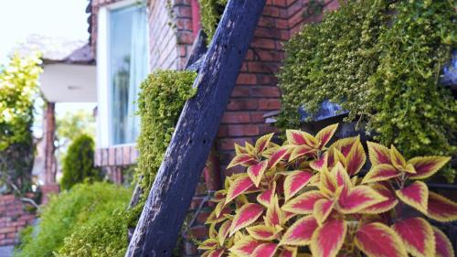 Guanshan Bed & Breakfast | Chin Shue B&B