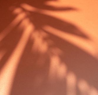 La Condesa Hotel | Cholula Condesa Hotel by Lumina