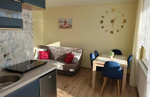 Tylicz House | Chruścielówka ap nr 1