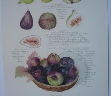 San Cassiano Hotel | Ciasa Roby