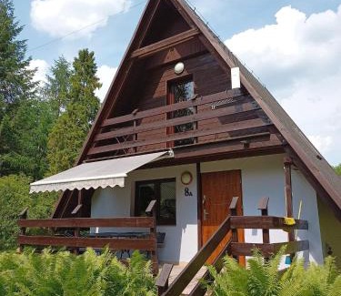 Brenna Cabin | CIME Ekonomik