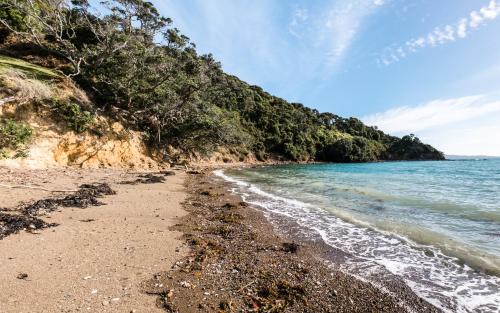 Waiheke Island House | Circular Bay