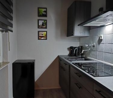 Dortmund City Centre Apartment | City Apartment Leonidas