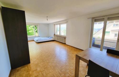 Oberstrass Apartment | City Center Flats with Balcony & Garden View Rigi - Self Checkin